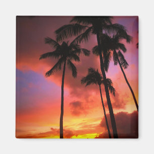 Tropical Beaches Maui Hawaii Islands Magneet