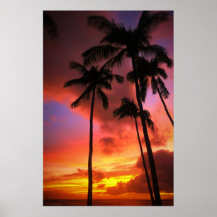 Tropical Beaches Maui Hawaii Islands Poster