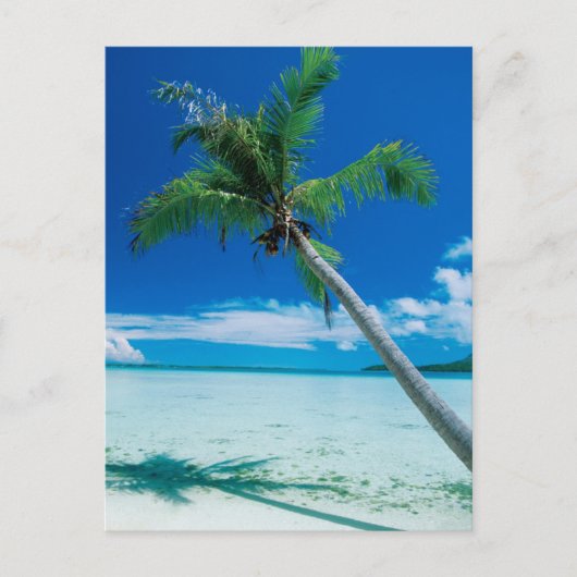 Tropical Beaches Motu Tofari Beach, Bora Bora Briefkaart (Voorkant)