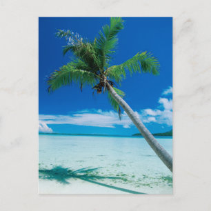 Tropical Beaches Motu Tofari Beach, Bora Bora Briefkaart
