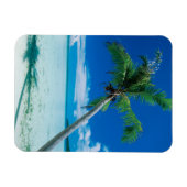 Tropical Beaches Motu Tofari Beach, Bora Bora Magneet (Horizontaal)