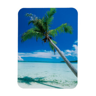 Tropical Beaches Motu Tofari Beach, Bora Bora Magneet