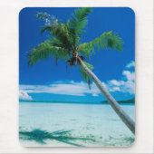 Tropical Beaches Motu Tofari Beach, Bora Bora Muismat (Voorkant)