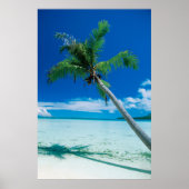 Tropical Beaches Motu Tofari Beach, Bora Bora Poster (Voorkant)