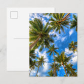 Tropical Beaches | Palm Trees on Blue Sky Briefkaart (Voorkant / Achterkant)