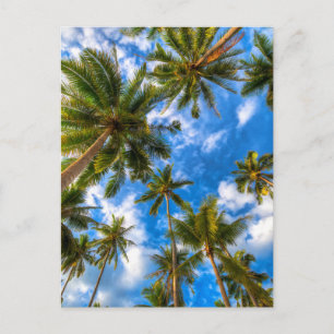 Tropical Beaches   Palm Trees on Blue Sky Briefkaart