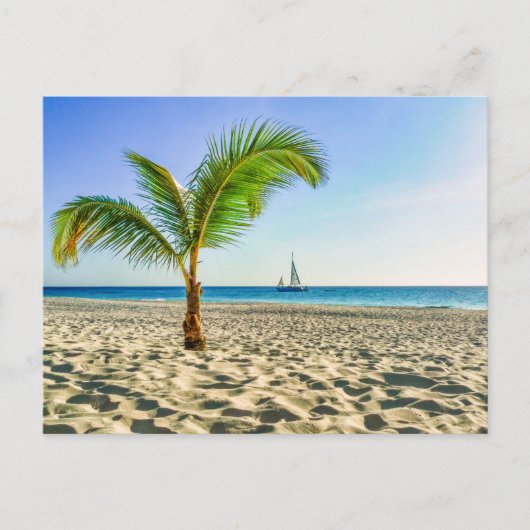 Tropical Beaches Sailboat, Palm Tree, Aruba Briefkaart (Voorkant)