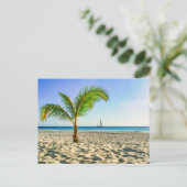 Tropical Beaches Sailboat, Palm Tree, Aruba Briefkaart (Staand voorkant)