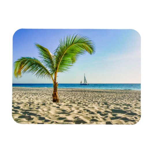 Tropical Beaches Sailboat, Palm Tree, Aruba Magneet (Horizontaal)
