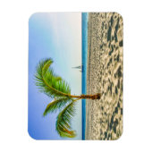 Tropical Beaches Sailboat, Palm Tree, Aruba Magneet (Verticaal)