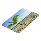 Tropical Beaches Sailboat, Palm Tree, Aruba Magneet (Linkerzijde)