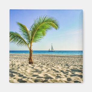 Tropical Beaches Sailboat, Palm Tree, Aruba Magneet