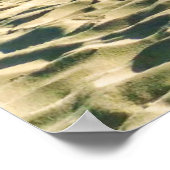 Tropical Beaches Sailboat, Palm Tree, Aruba Poster (Hoek)