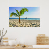 Tropical Beaches Sailboat, Palm Tree, Aruba Poster (Keuken)