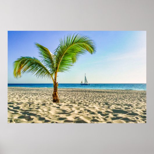 Tropical Beaches Sailboat, Palm Tree, Aruba Poster (Voorkant)