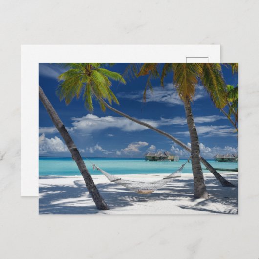 Tropical Beaches | Sandy Beach, Maldives Briefkaart (Voorkant / Achterkant)