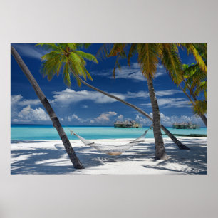 Tropical Beaches Sandy Beach, Maldives Poster