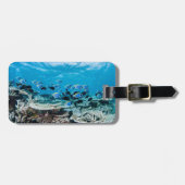 Tropical Beaches | Sturgeon Amongst Coral Bagagelabel (Voorkant horizontaal)