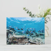 Tropical Beaches | Sturgeon Amongst Coral Bedankkaart (Staand voorkant)