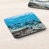 Tropical Beaches | Sturgeon Amongst Coral Bier Onderzetter (Linkerzijde)