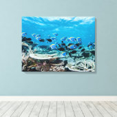 Tropical Beaches | Sturgeon Amongst Coral Canvas Afdruk (Insitu (Houten vloer))