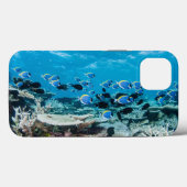 Tropical Beaches | Sturgeon Amongst Coral Case-Mate iPhone Case (Achterkant (horizontaal))