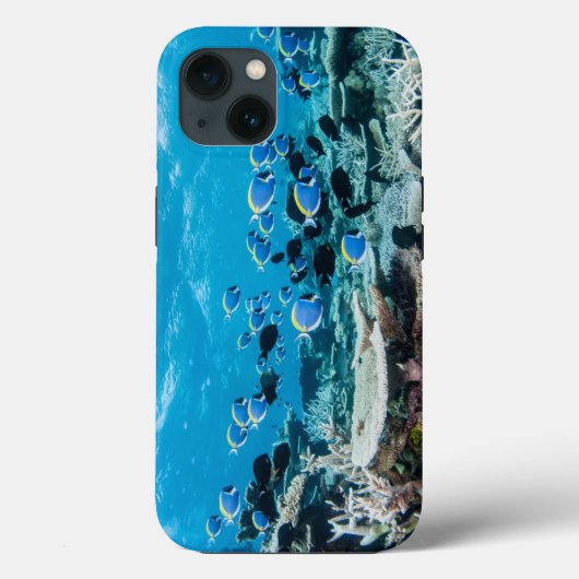 Tropical Beaches | Sturgeon Amongst Coral Case-Mate iPhone Case (Achterkant)