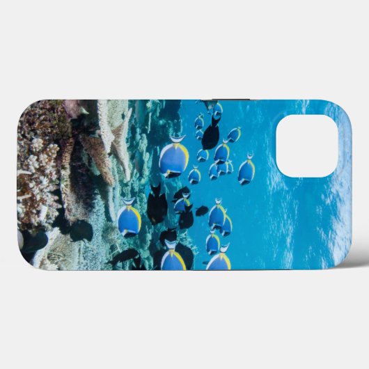 Tropical Beaches | Sturgeon Amongst Coral Case-Mate iPhone Case (Achterkant (horizontaal))