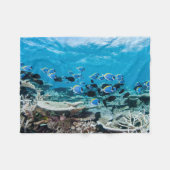 Tropical Beaches | Sturgeon Amongst Coral Fleece Deken (Voorkant (Horizontaal))