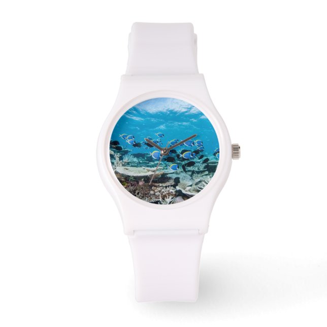 Tropical Beaches | Sturgeon Amongst Coral Horloge (Voorkant)