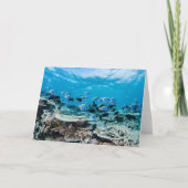 Tropical Beaches | Sturgeon Amongst Coral Kaart (Voorkant)