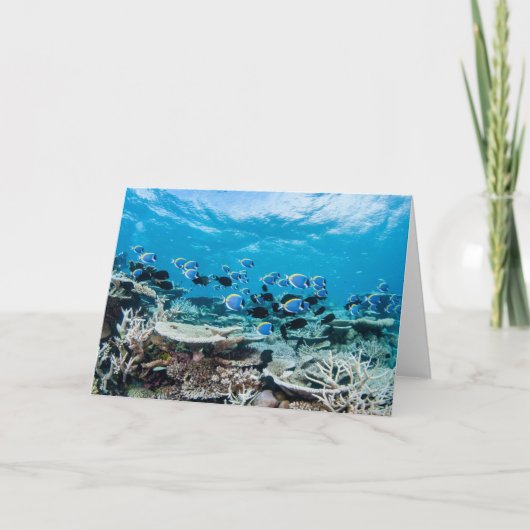 Tropical Beaches | Sturgeon Amongst Coral Kaart (Voorkant)