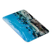 Tropical Beaches | Sturgeon Amongst Coral Magneet (Rechterzijde)