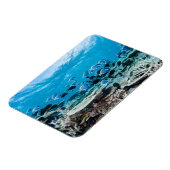 Tropical Beaches | Sturgeon Amongst Coral Magneet (Linkerzijde)