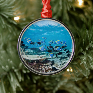 Tropical Beaches   Sturgeon Amongst Coral Metalen Ornament