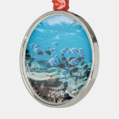 Tropical Beaches | Sturgeon Amongst Coral Metalen Ornament (Links)
