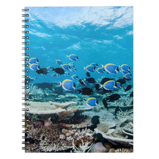 Tropical Beaches | Sturgeon Amongst Coral Notitieboek (Voorkant)
