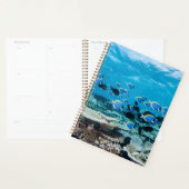 Tropical Beaches | Sturgeon Amongst Coral Planner (Display)