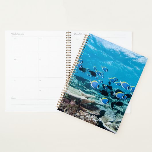 Tropical Beaches | Sturgeon Amongst Coral Planner (Display)
