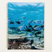 Tropical Beaches | Sturgeon Amongst Coral Planner (Voorkant)