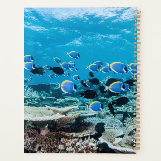 Tropical Beaches | Sturgeon Amongst Coral Planner (Achterkant)