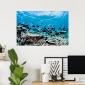Tropical Beaches | Sturgeon Amongst Coral Poster (Thuiskantoor)