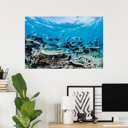 Tropical Beaches | Sturgeon Amongst Coral Poster (Thuiskantoor)