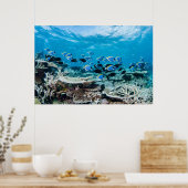 Tropical Beaches | Sturgeon Amongst Coral Poster (Keuken)