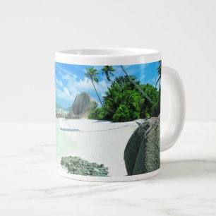 Tropical Beaches   The Digue Island Grote Koffiekop