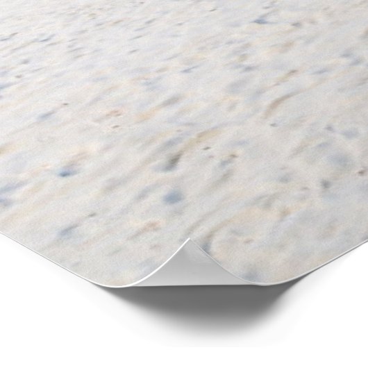 Tropical Beaches Tropical Landscape Beach Swing Poster (Hoek)