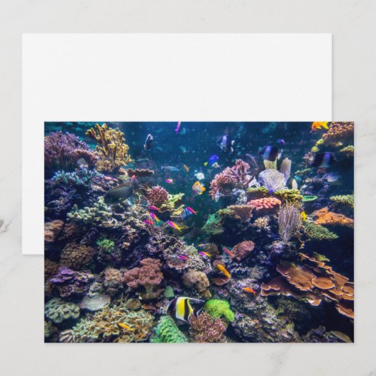 Tropical Beaches | Underwater Coral Reef Bedankkaart (Voorkant / Achterkant)