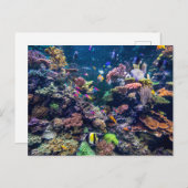 Tropical Beaches | Underwater Coral Reef Briefkaart (Voorkant / Achterkant)
