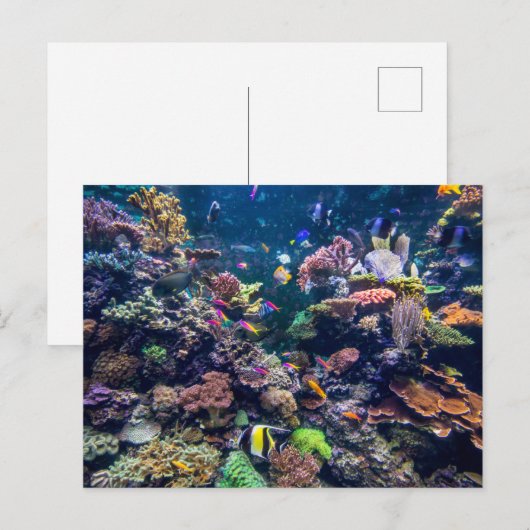 Tropical Beaches | Underwater Coral Reef Briefkaart (Voorkant / Achterkant)