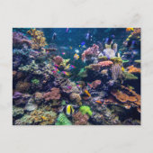 Tropical Beaches | Underwater Coral Reef Briefkaart (Voorkant)